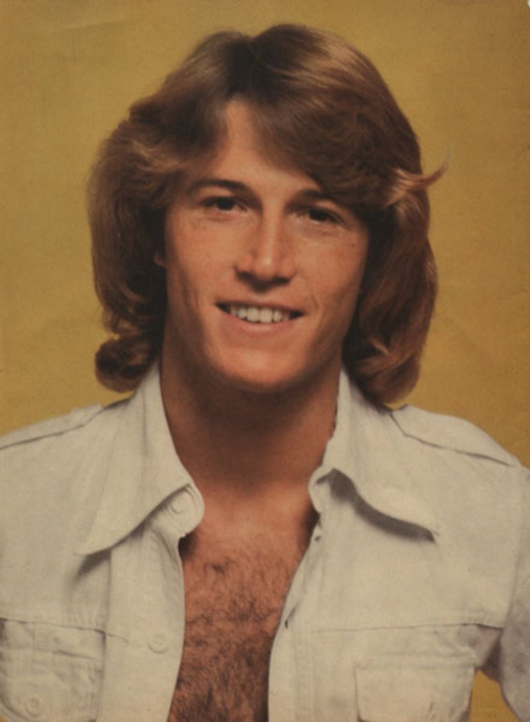 Andy gibb