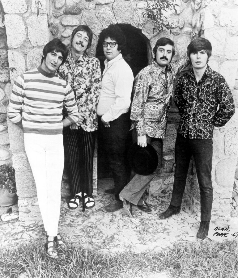 The turtles