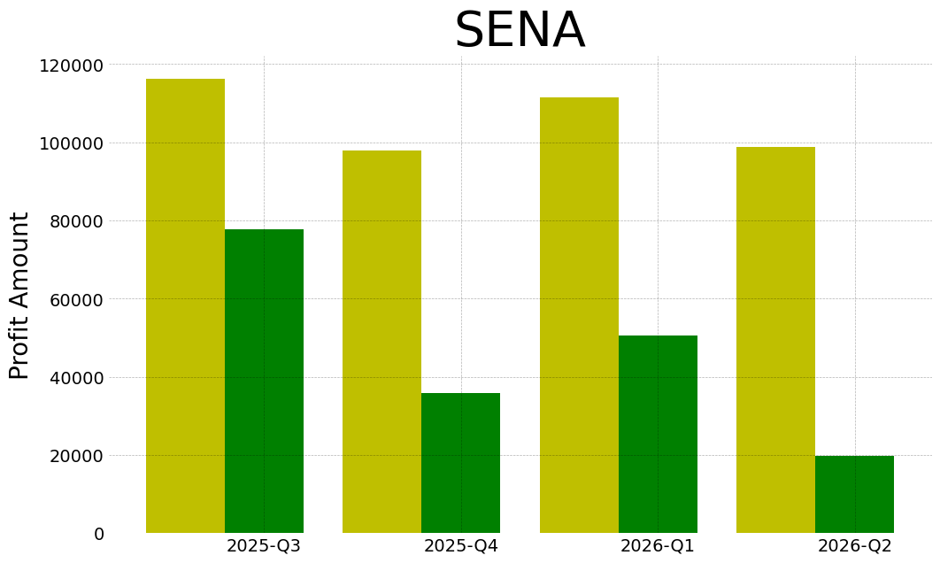 Sena 2026 2 q